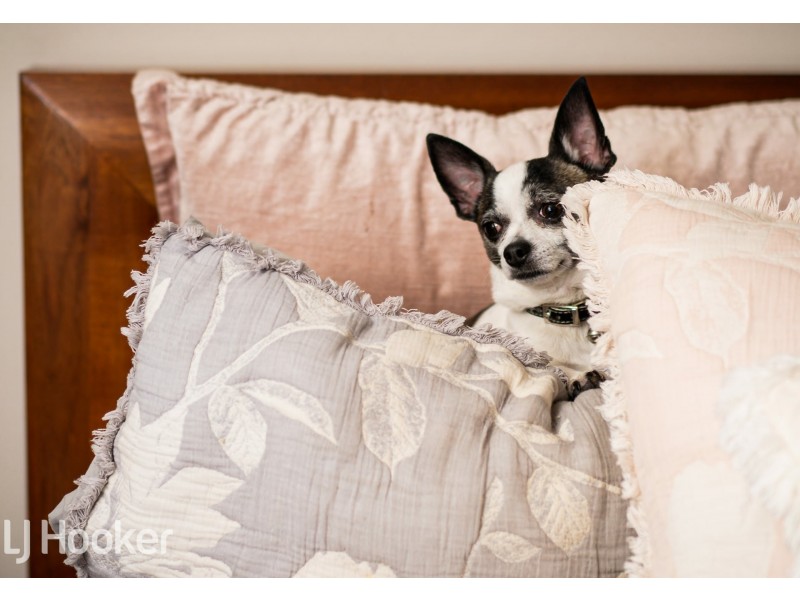 82A Teague Street, Victoria Park WA 6100