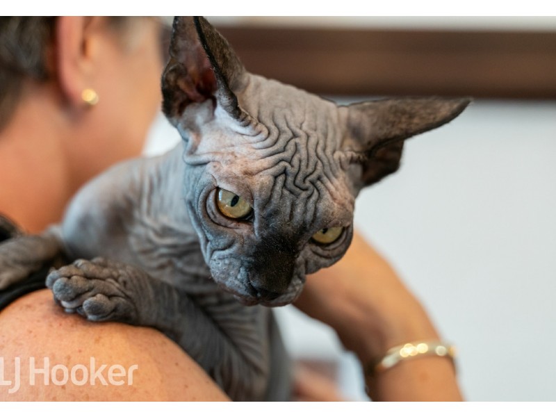 29 Hovia Terrace, Kensington WA 6151