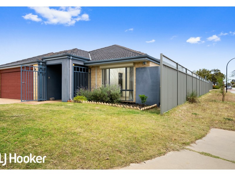 17 Reginald Street, Queens Park WA 6107