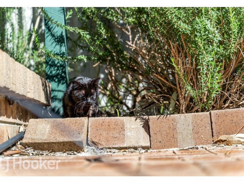 14A Nash Place, Beechboro WA 6063