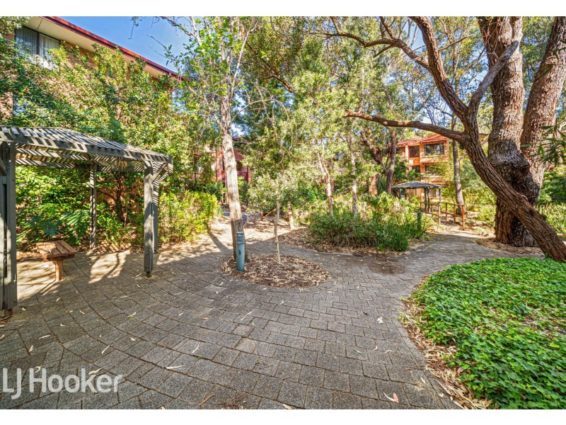 54/50 Moondine Drive, Wembley WA 6014