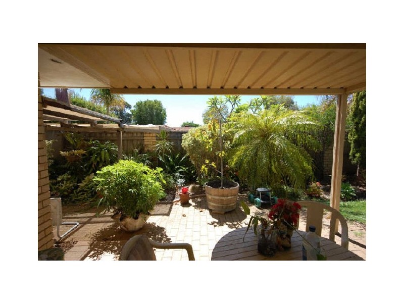 36 Mitchell Street, Bentley WA 6102