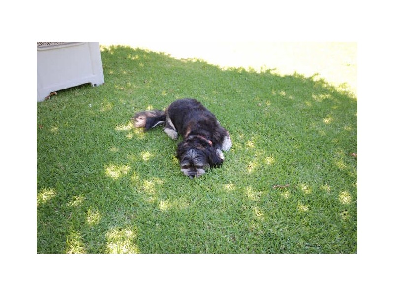 17 O’Dea Street, Carlisle WA 6101