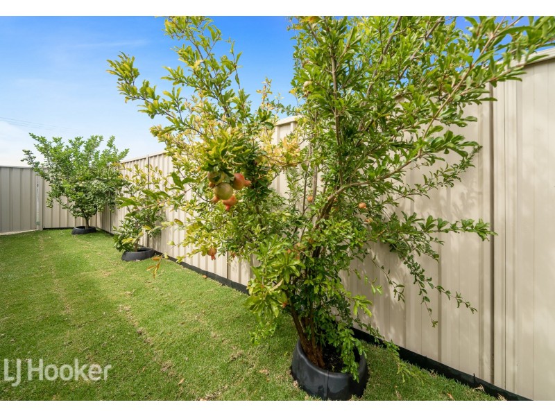 1 Chich Place, Cannington WA 6107