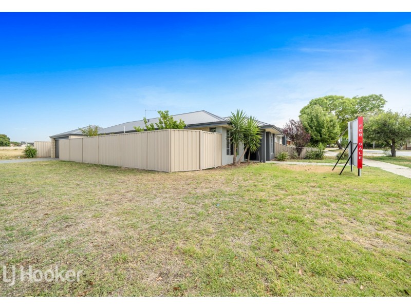 1 Chich Place, Cannington WA 6107