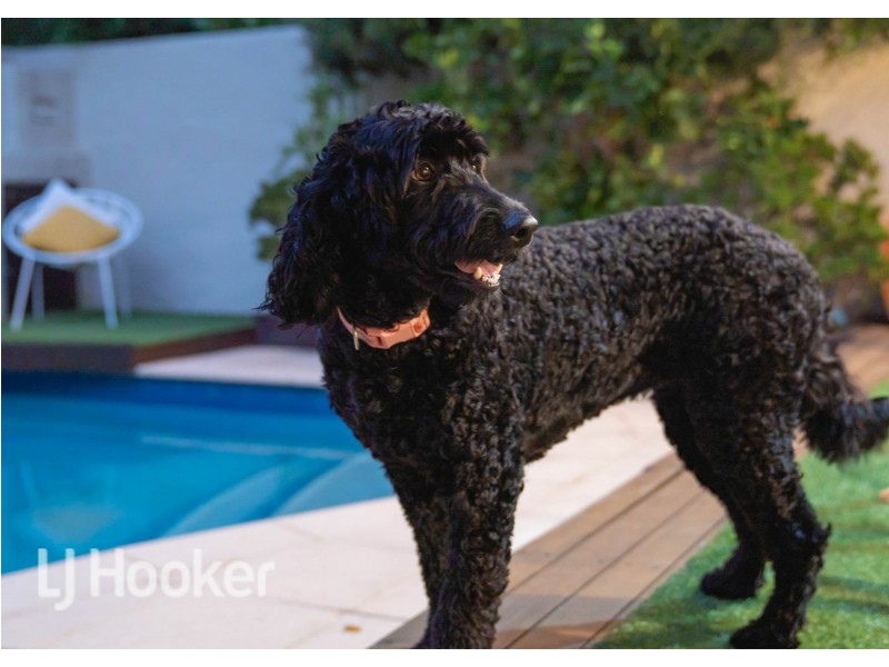 6/8 Sandgate Street, South Perth WA 6151