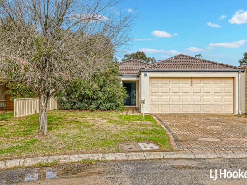 99 Chapman Road, Bentley WA 6102