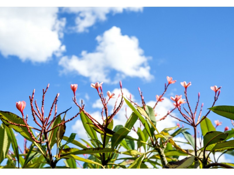 6/4 Ayer Road, Queens Park WA 6107