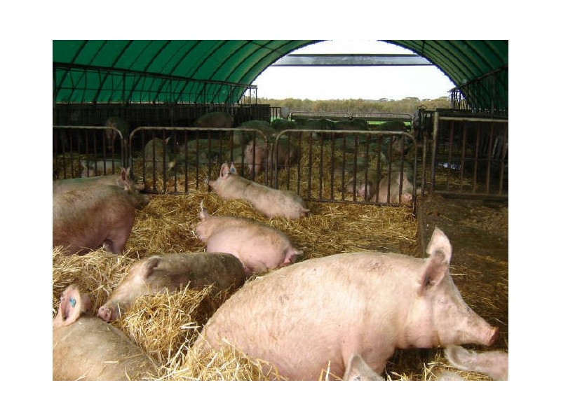 Williams-Kondinin Road, Narrogin WA 6312