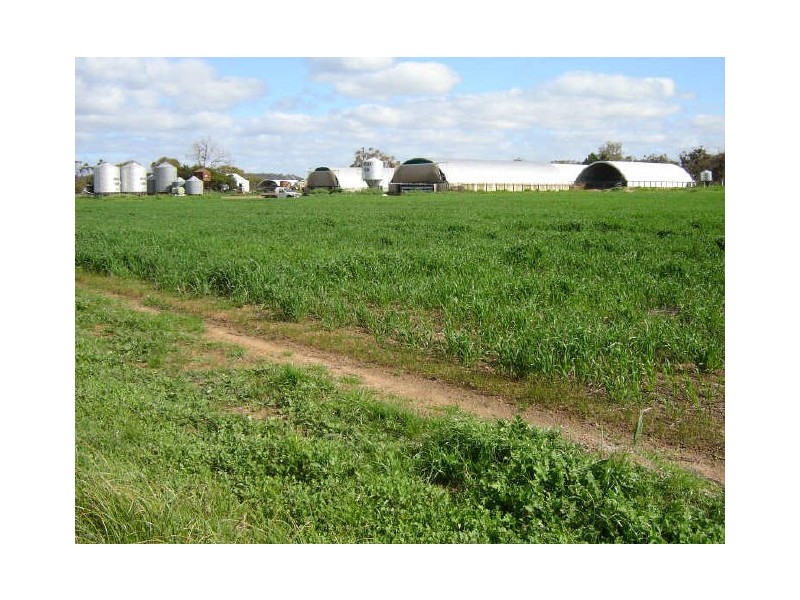 Williams-Kondinin Road, Narrogin WA 6312