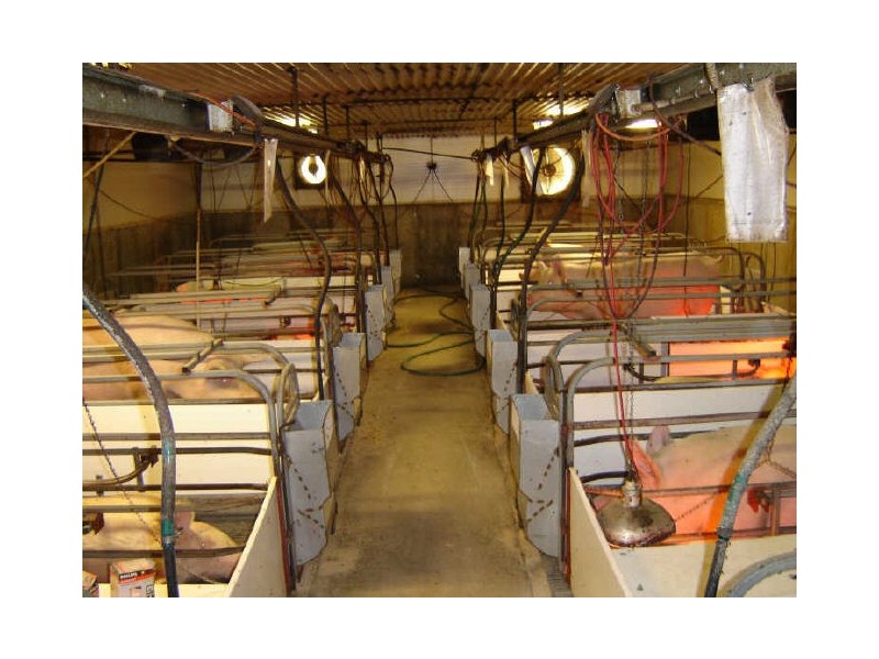 Williams-Kondinin Road, Narrogin WA 6312