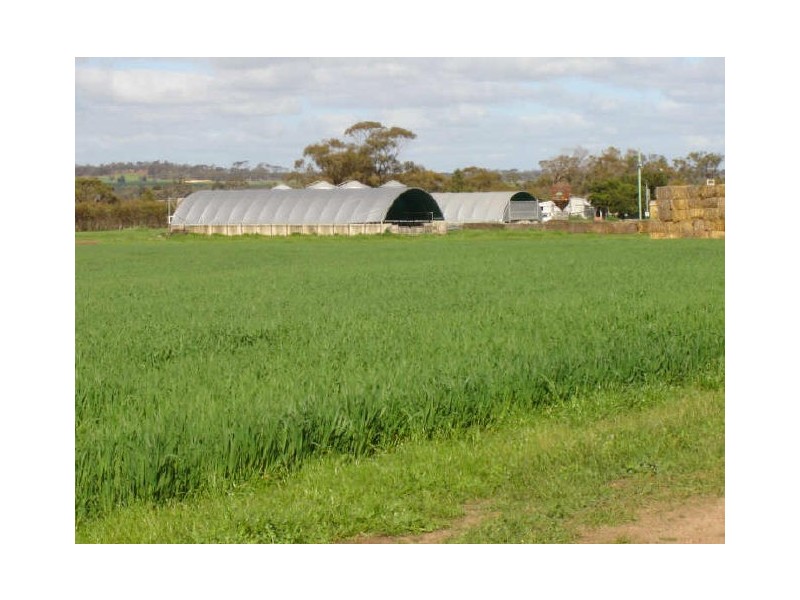 Williams-Kondinin Road, Narrogin WA 6312