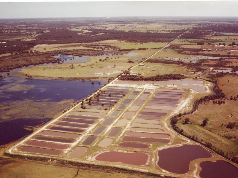 899 Elliot Road, Keysbrook WA 6126