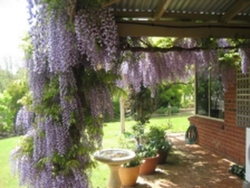 RMB 201 B Scotts Brook Road off Boyup Brook Rd, Boyup Brook WA 6244