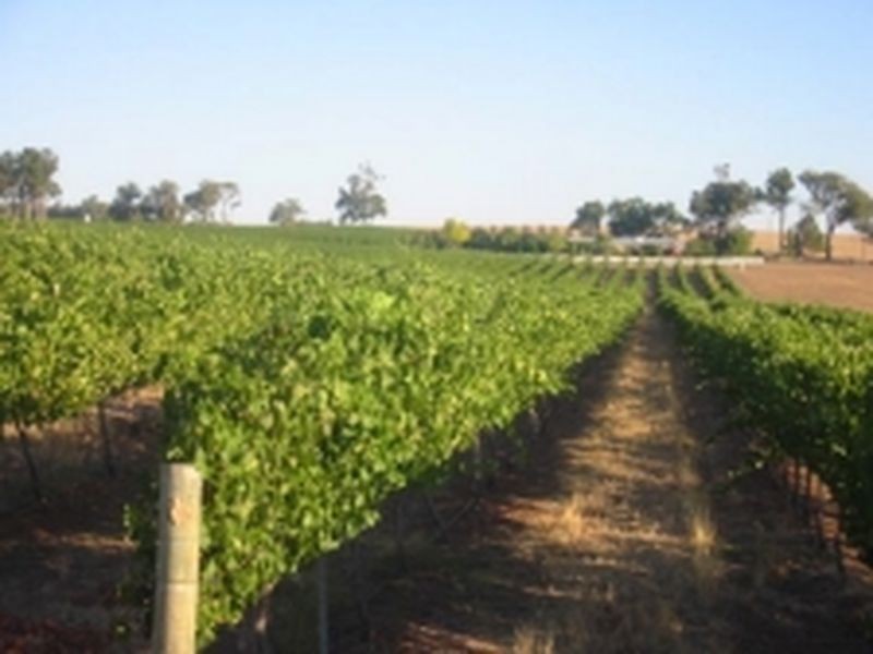 RMB 201 B Scotts Brook Road off Boyup Brook Rd, Boyup Brook WA 6244