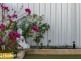 109B William Street, Beckenham WA 6107
