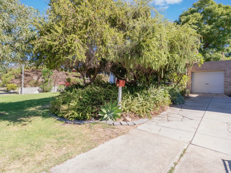 19 Chilton Street, Willagee WA 6156