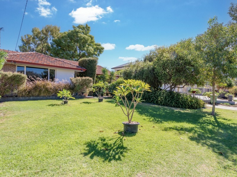 19 Chilton Street, Willagee WA 6156