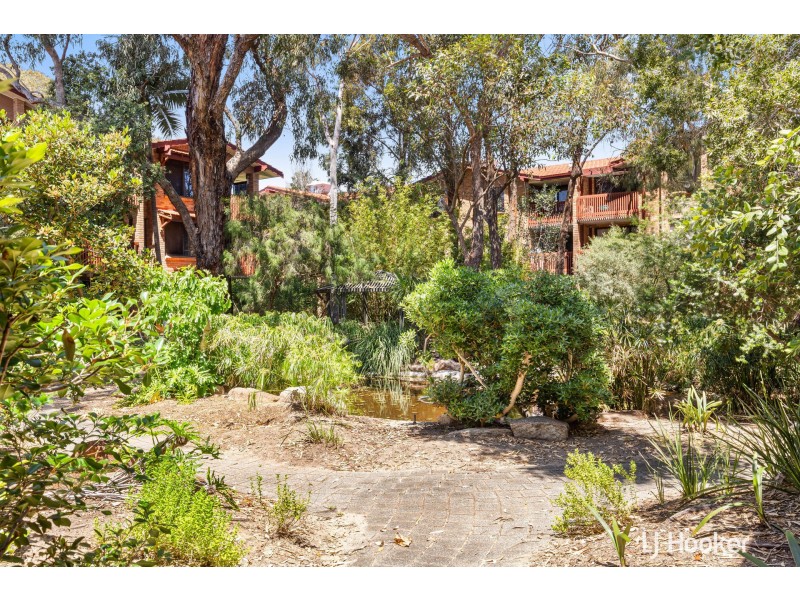 54/50 Moondine Drive, Wembley WA 6014