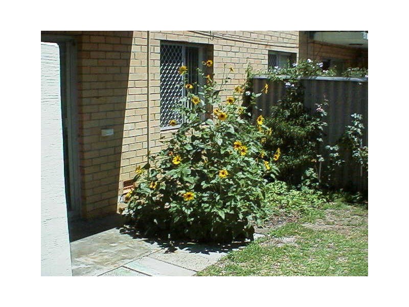 3/216 Cambridge Street, Wembley WA 6014