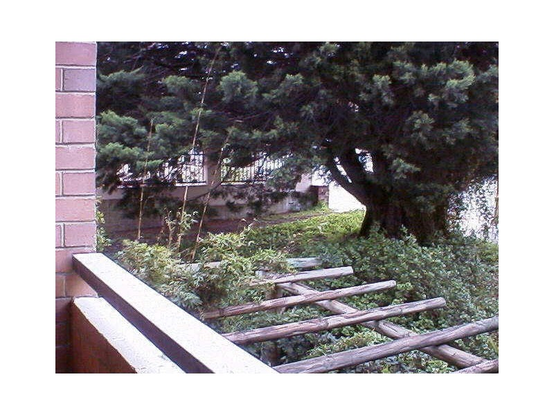 106/365 Cambridge Street, Wembley WA 6014