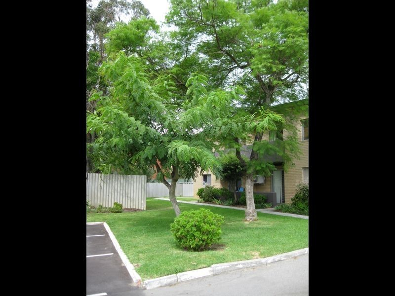 19/75 Herdsman Parade, Wembley WA 6014