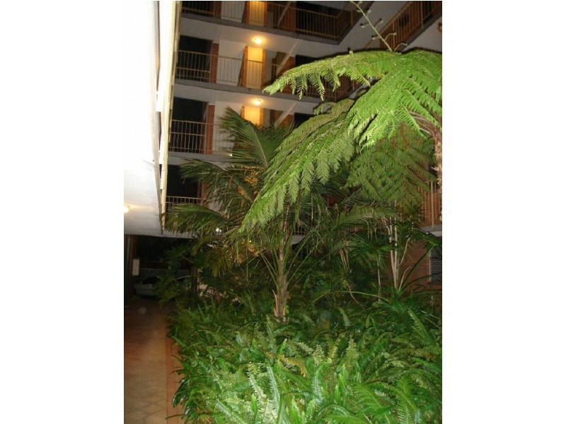 33/409 Cambridge Street, Wembley WA 6014