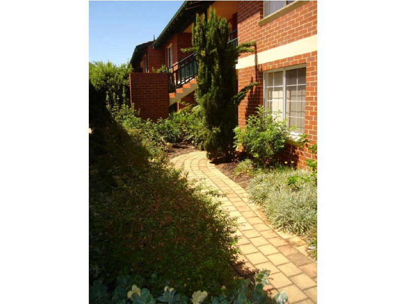 24/64 Moondine Drive, Wembley WA 6014