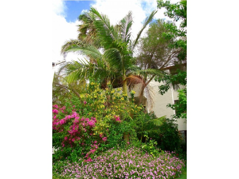 11/307 Cambridge Street, Wembley WA 6014