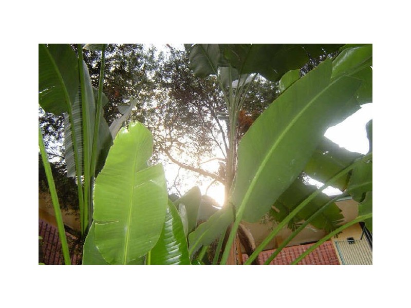 203E/25 Herdsman Parade, Wembley WA 6014