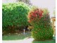 88 Pangbourne Street, Wembley WA 6014