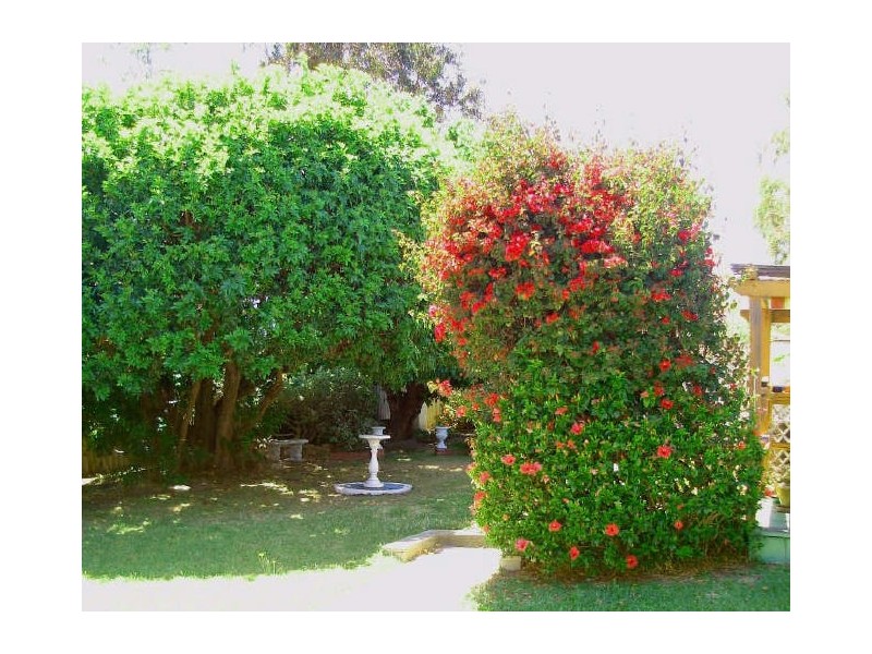 88 Pangbourne Street, Wembley WA 6014