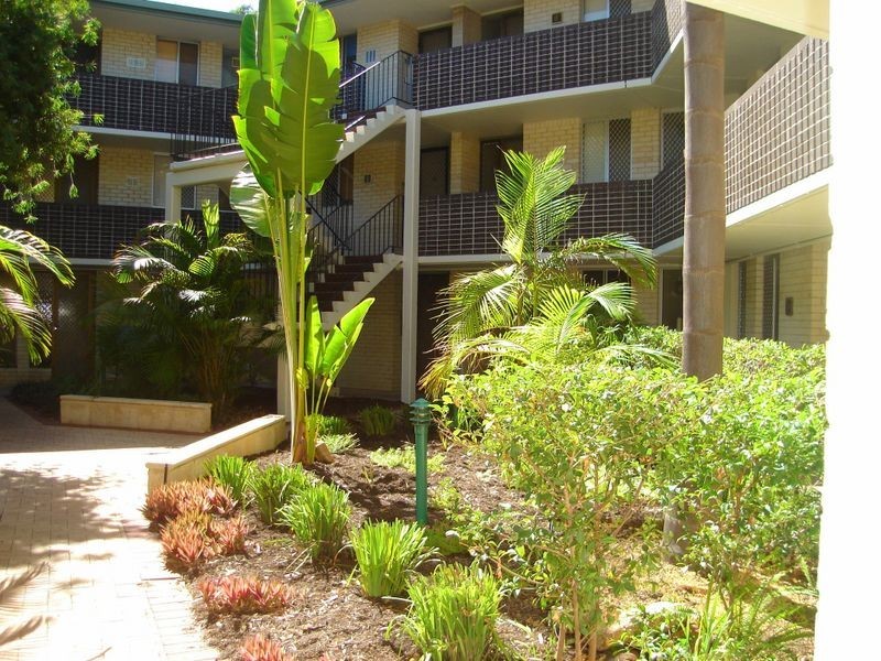 66/1 Herdsman Parade, Wembley WA 6014