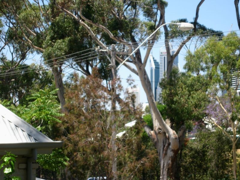 11/190-192 Railway Parade, West Leederville WA 6007