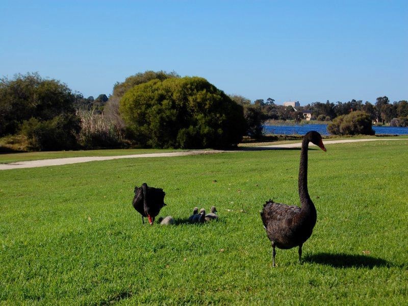 28/2 Waterway Court, Churchlands WA 6018