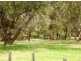P8/125 Herdsman Parade, Wembley WA 6014