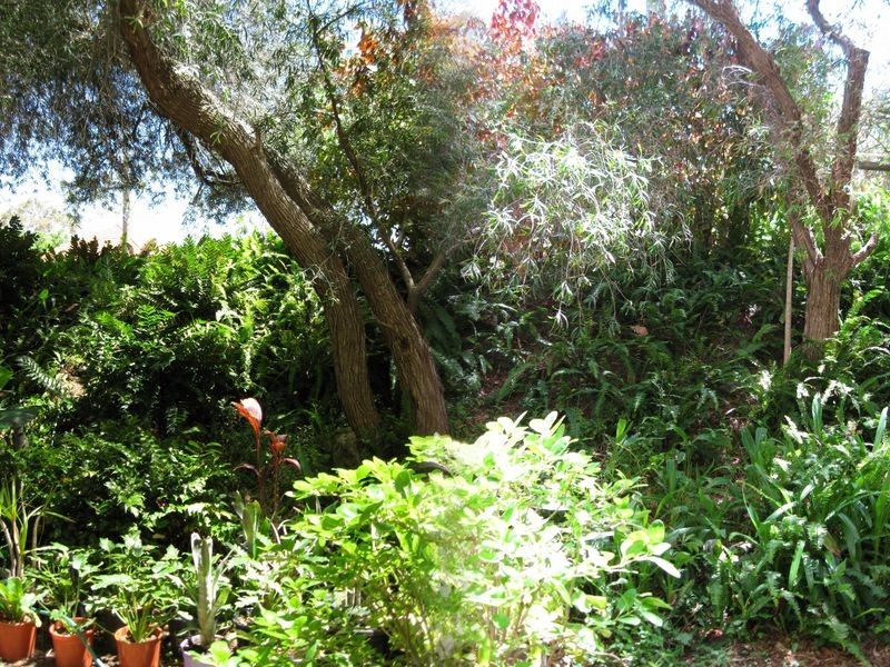 6/227 Vincent Street, West Perth WA 6005