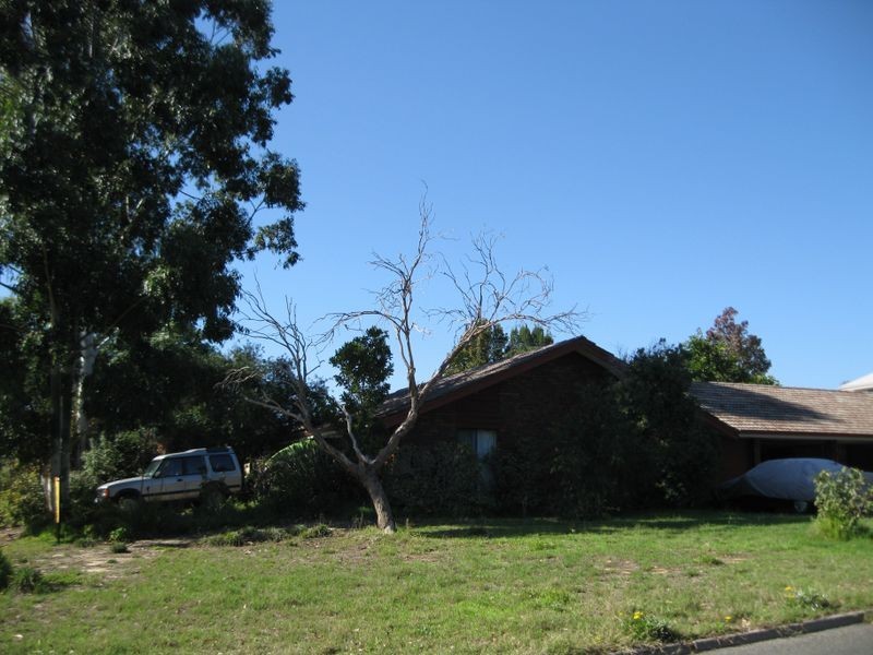 29 Dakin Street, Daglish WA 6008