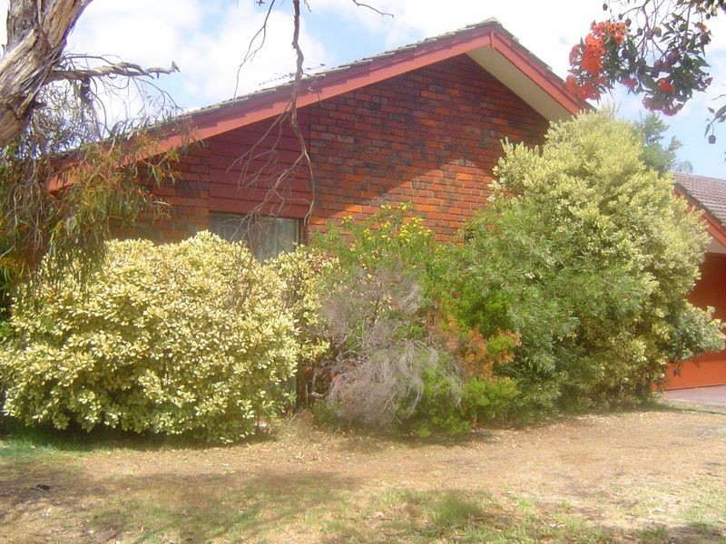 29 Dakin Street, Daglish WA 6008