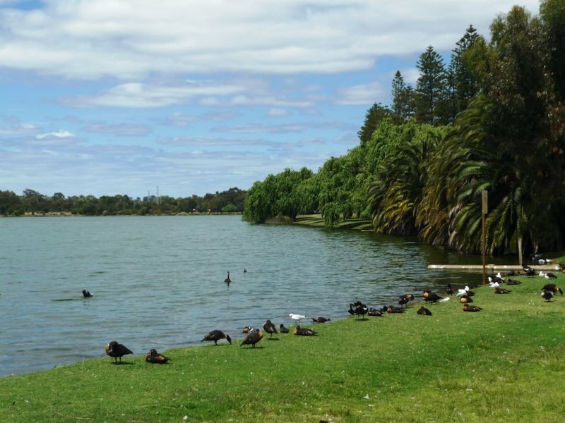 26 Station Street, Wembley WA 6014