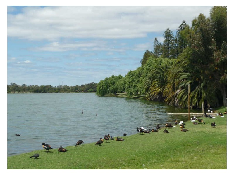 9 Rawlins Street, Glendalough WA 6016