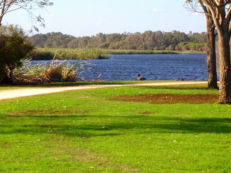 203E/25 Herdsman Parade, Wembley WA 6014