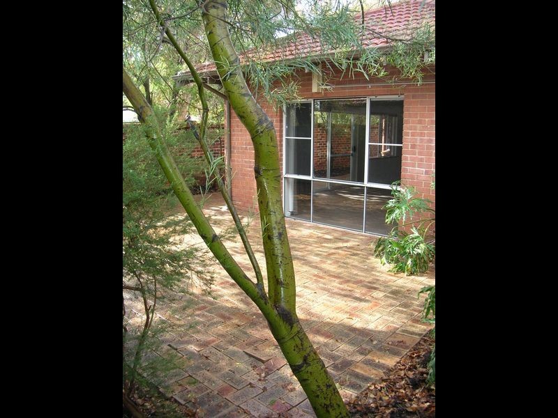 181b Stubbs Terrace, Daglish WA 6008