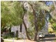 37-39 Forsyth Street, Kingsford NSW 2032
