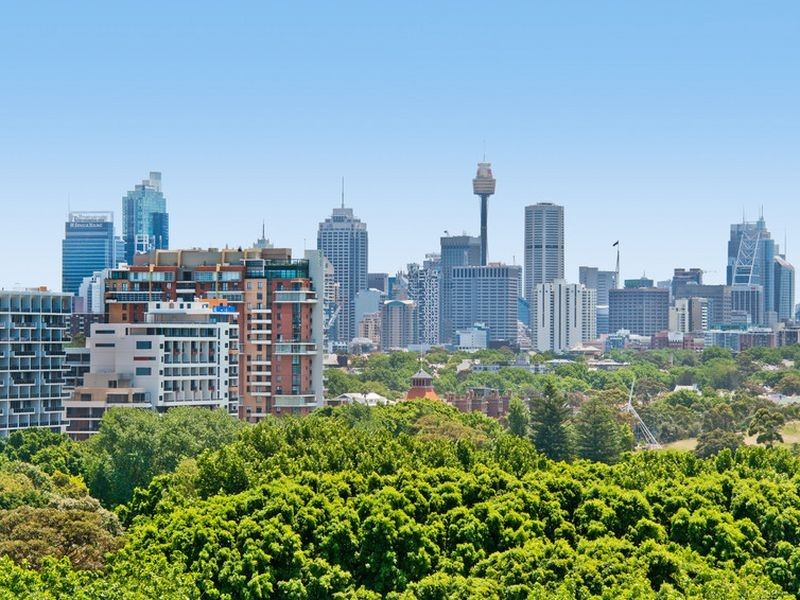 1203/95 Brompton Road, Kensington NSW 2033