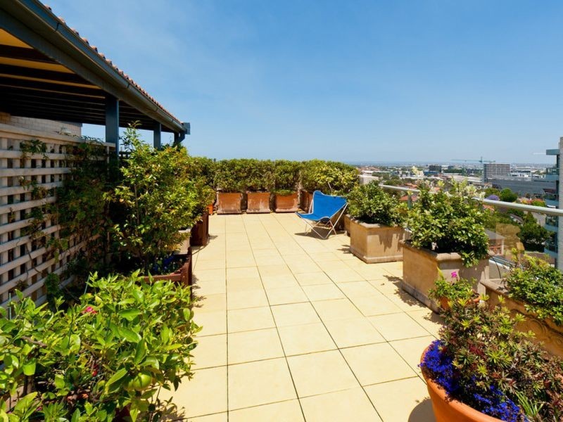 1203/95 Brompton Road, Kensington NSW 2033