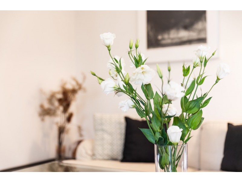 43 Shaw Avenue, Kingsford NSW 2032