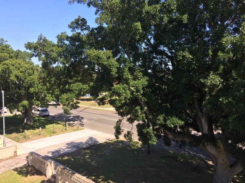 8/133 Bunnerong Road, Kingsford NSW 2032