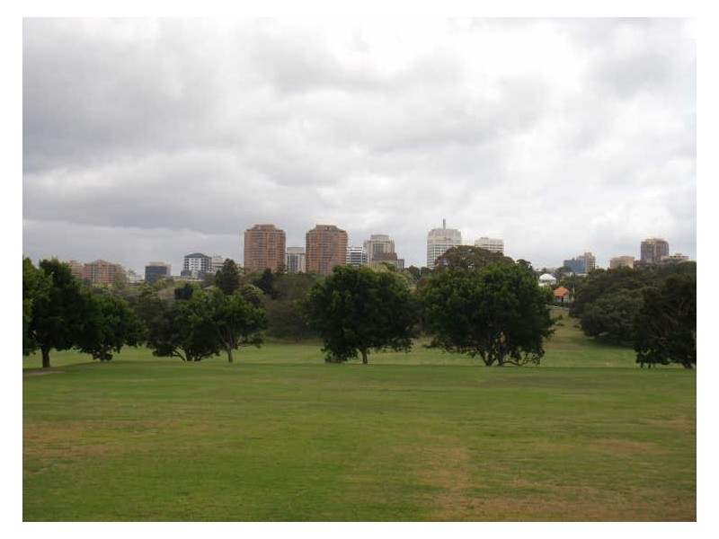 6/221 Darley Road, Randwick NSW 2031