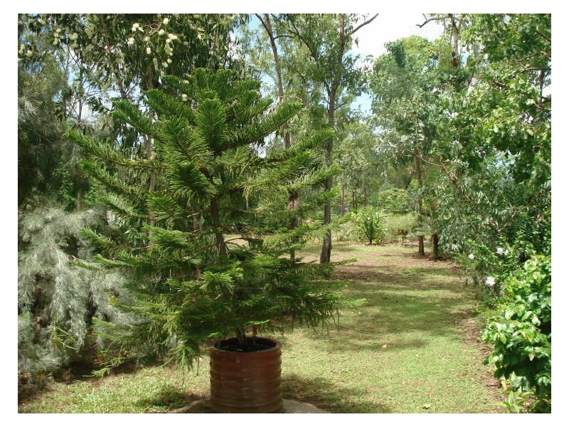 28 Massey Street, Wagait Beach NT 0822